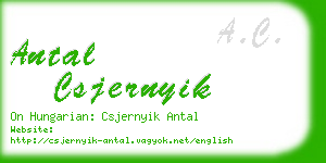 antal csjernyik business card